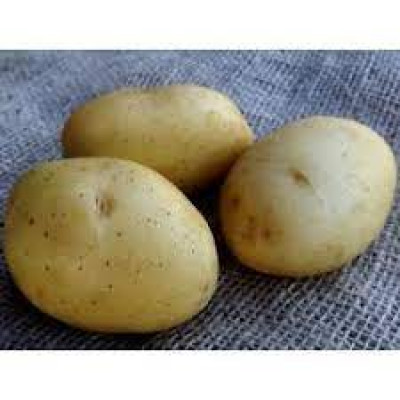 Aardappelen - Vitabella biologisch