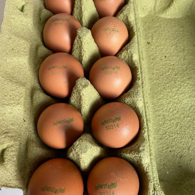 Eieren biologisch (10 stuks)