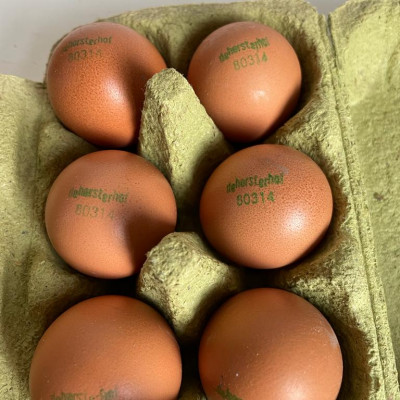 Eieren biologisch (6 stuks)